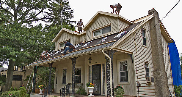 Best Gutter Installation and Roofing  in New Lno, LA